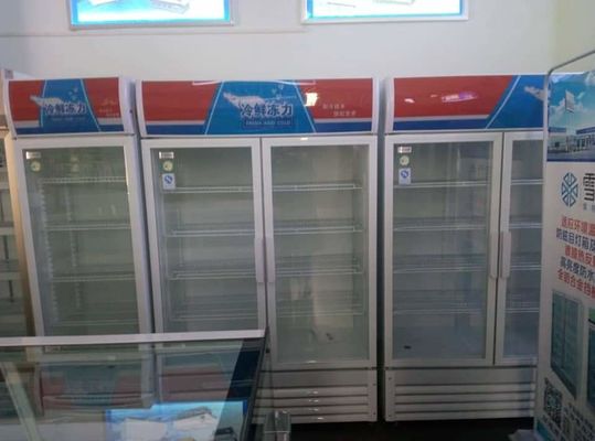 Commercial Glass Door Refrigerator Freezer Direct Cooling