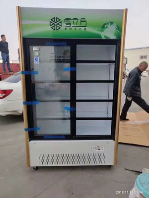 Commercial Double Glass Door Display Freezer Sliding Beverage