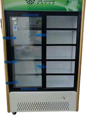 Commercial Double Glass Door Display Freezer Sliding Beverage