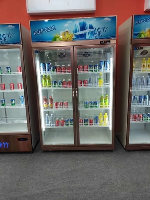 Vertical 2 Door Commercial Display Fridge Restaurant 1260L