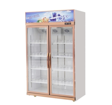 Vertical 2 Door Commercial Display Fridge Restaurant 1260L