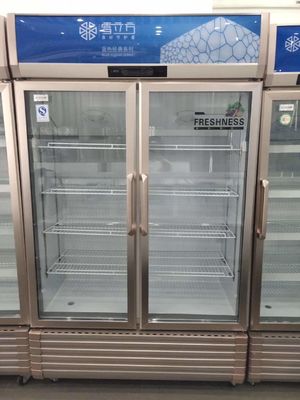 Supermarket Beverage Glass Door Display Freezer Golden Frame 2 Door
