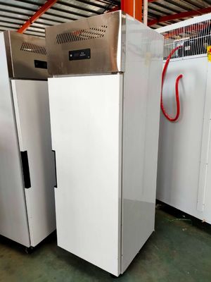 Single Door Stainless Steel Small Fresh Freezer Household for Food Meat