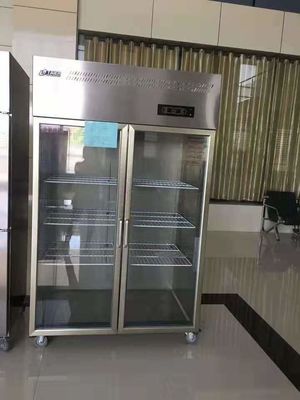 Commercial Glass Door Stainless Steel Freezer Large Capacity