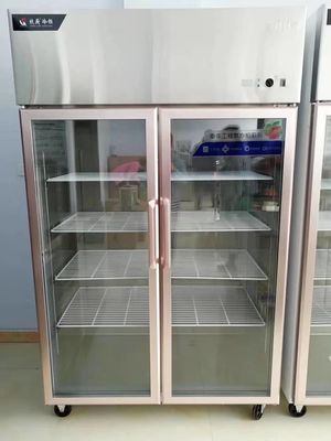 Commercial Glass Door Stainless Steel Freezer Large Capacity
