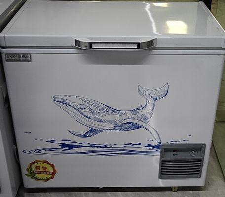 Custom Refrigeration Industrial Water Chillers Double Door Refrige