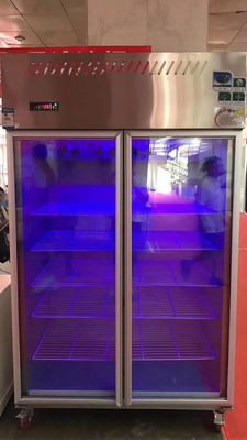 Fresh Food Meat Ice Cream Double Glass Door Refrigerated Freezer